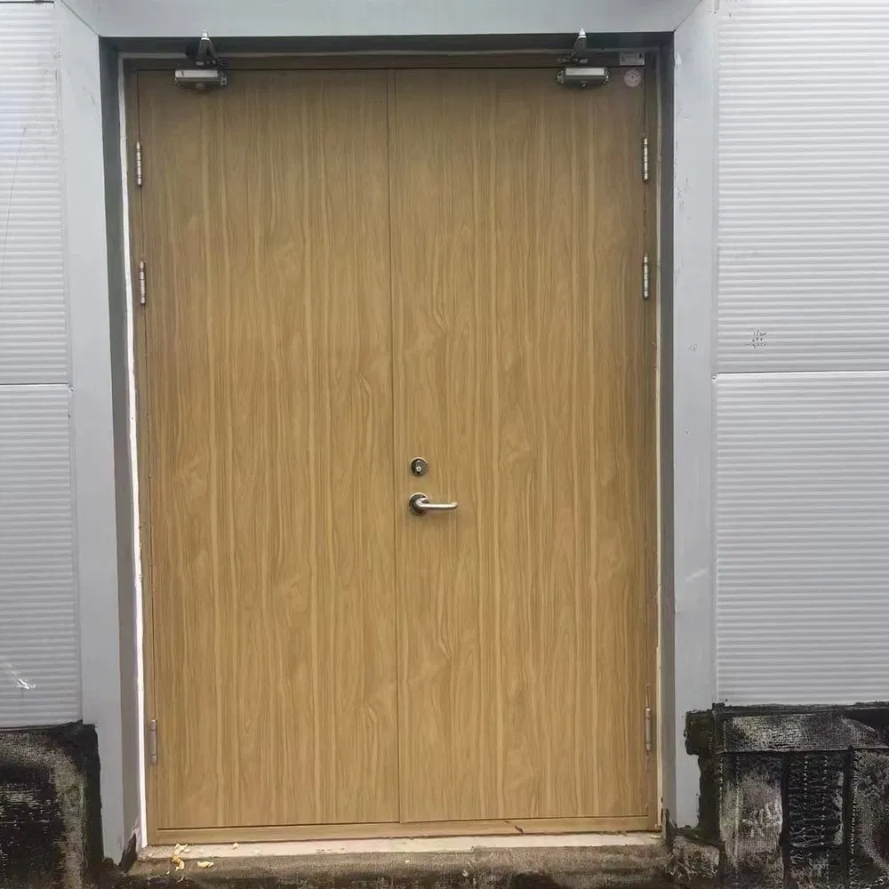 Environmentally Friendly and Odorless 30 Minutes Fire Rated Wooden Door for Office