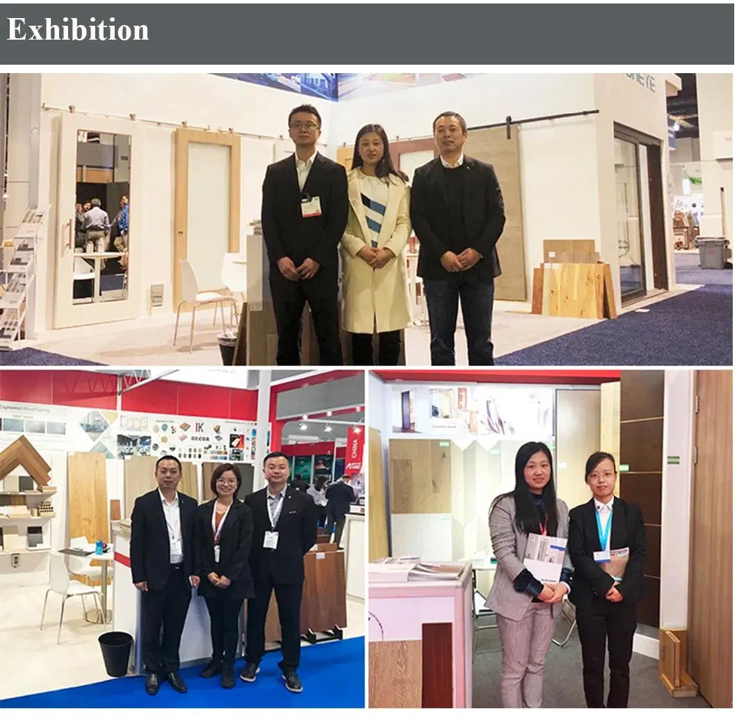 Global Trade Show Exhibition