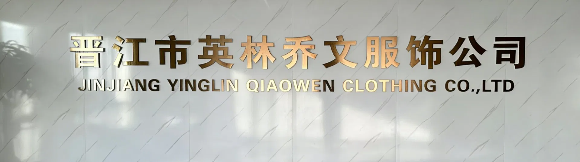 Bikini Swimwear Banner