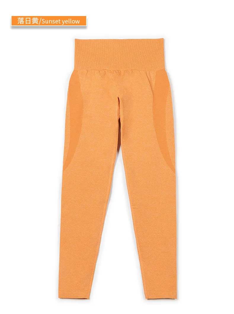 Yoga Fitness Pants 12