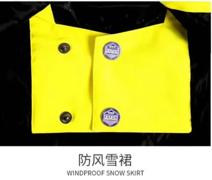 Ski Winter Jacket Inner View