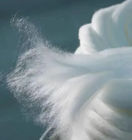 Ski Winter Jacket Material View