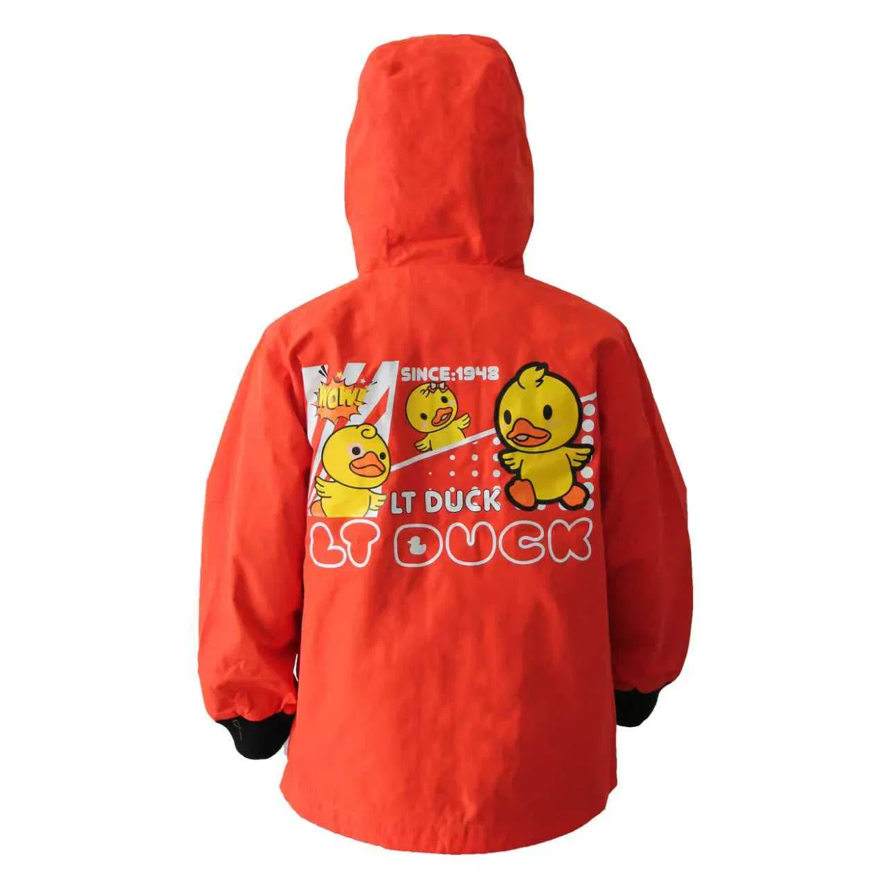 New Design Windproof High Performance Anti-Static Waterproof Jacket for Ski