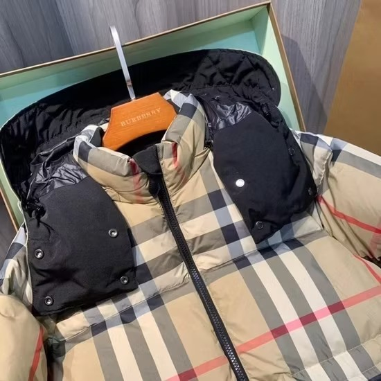 Designers Plaid Hooded Down Jacket Thermal Designer Jacket Zipper Black North Jacket Sleeves Detachable Vest Letters Winter Skiing Couple Burberyity Jacket