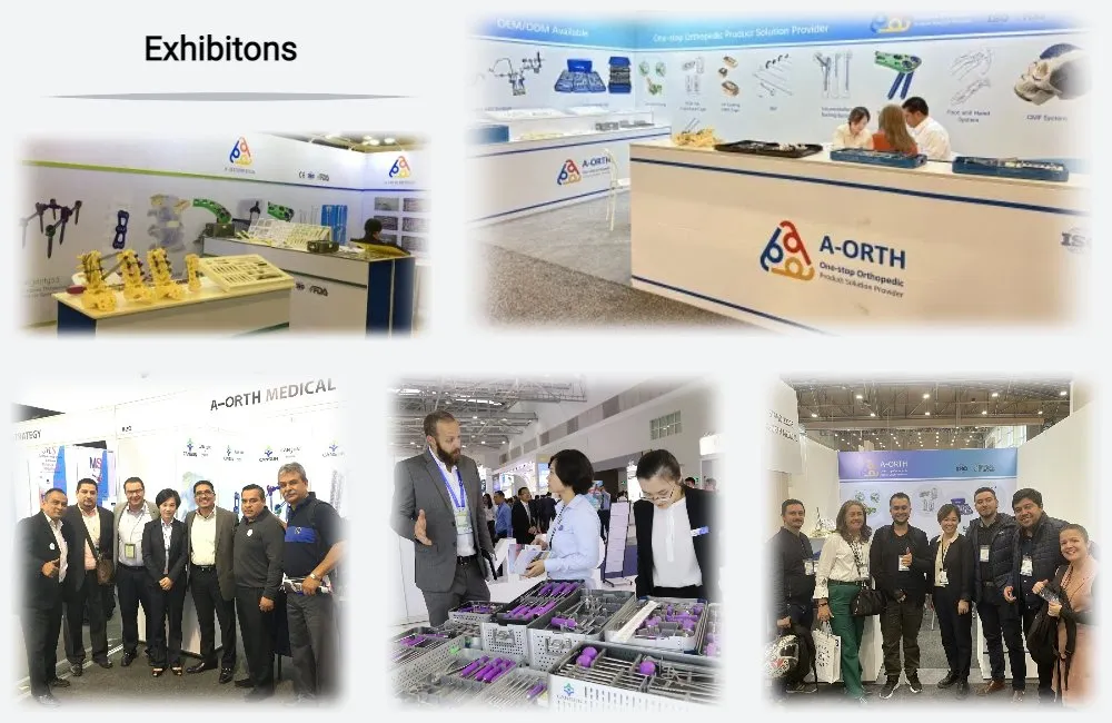 International Exhibitions