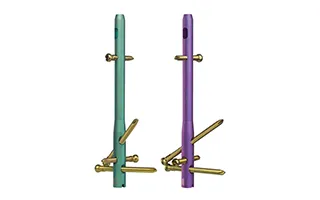 Titanium Interlocking Nail