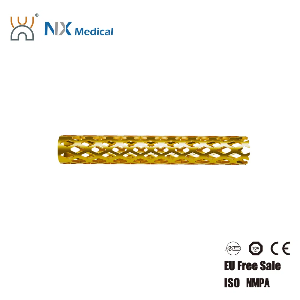 Nx Medical OEM Support Tlif Cage Peek Titanium for Lumbar Interbody Fusion