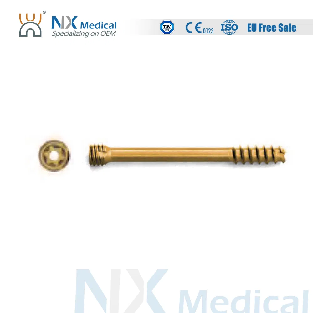 Orthopedic Implant Cannulated Headless Compression Screw Bone Screw Fixation