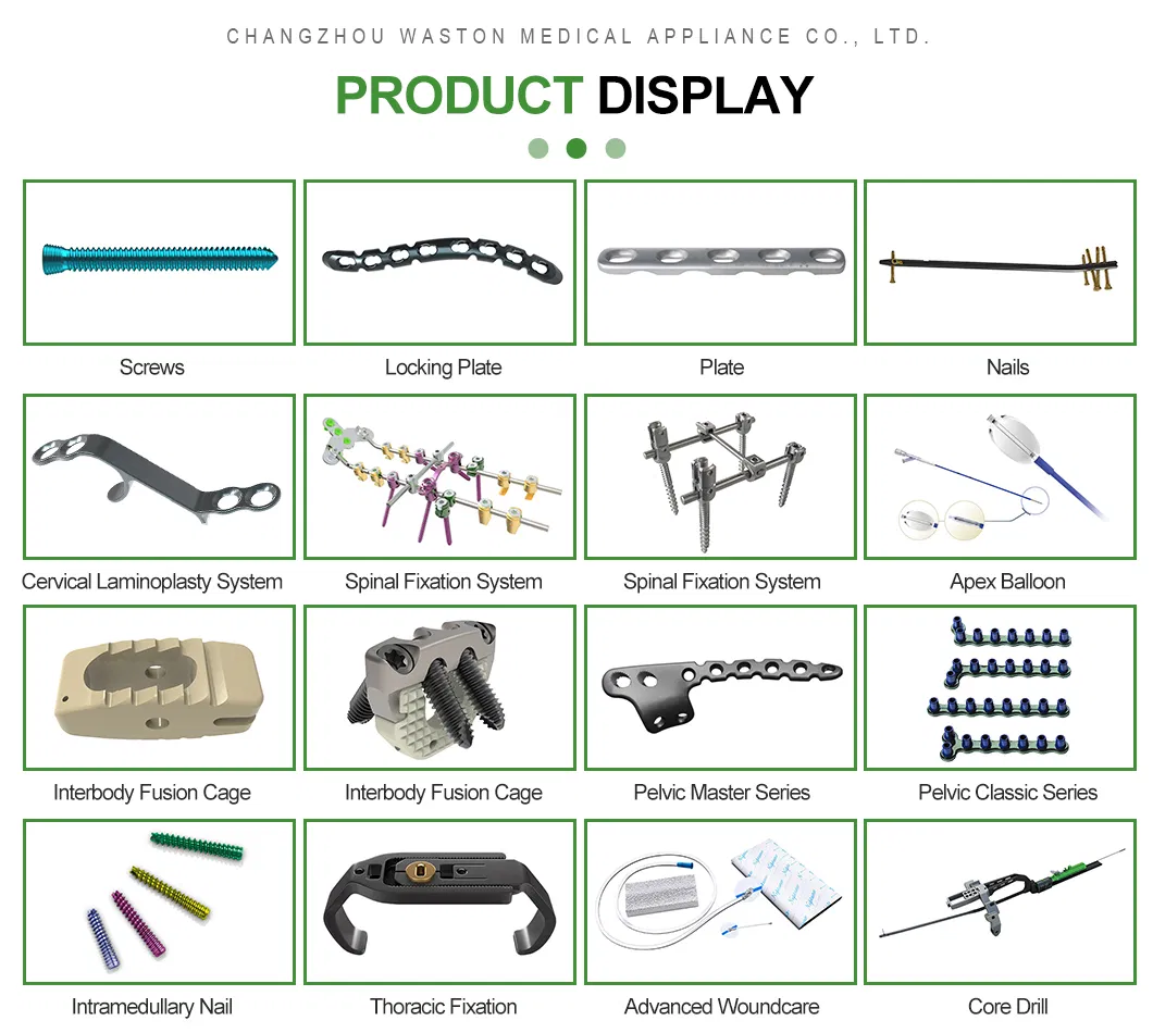 Bone Screw Fixation System