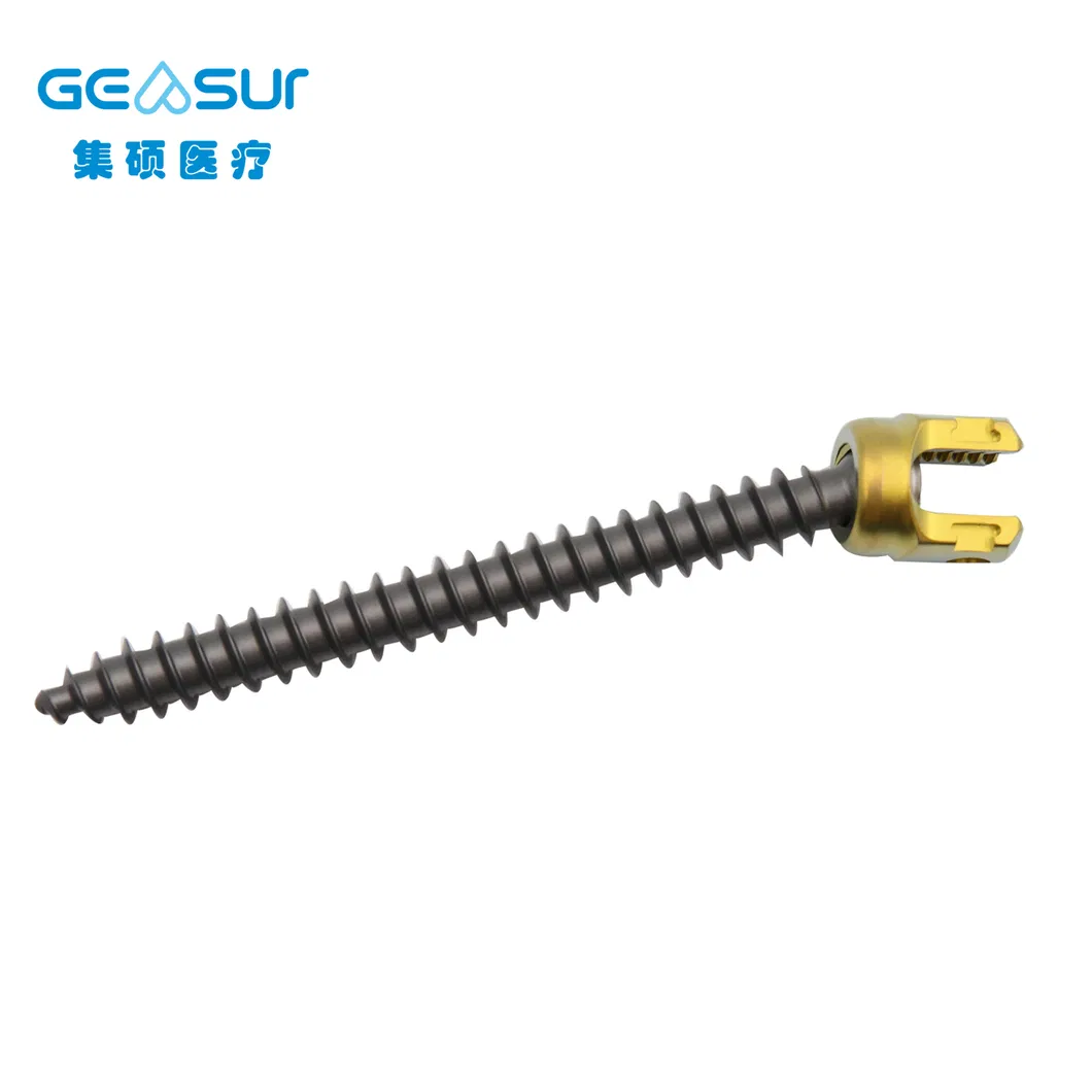 Titanium Pedicle Screw Detail 1