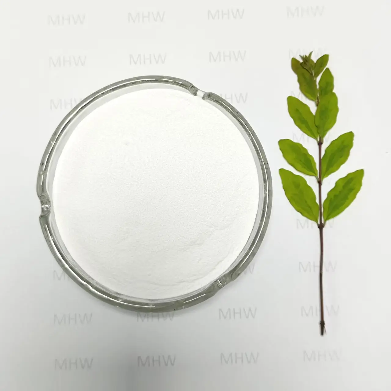 Famous Food Grade Hyaluronic Acid White Powder for Joint Health Products, Exporter