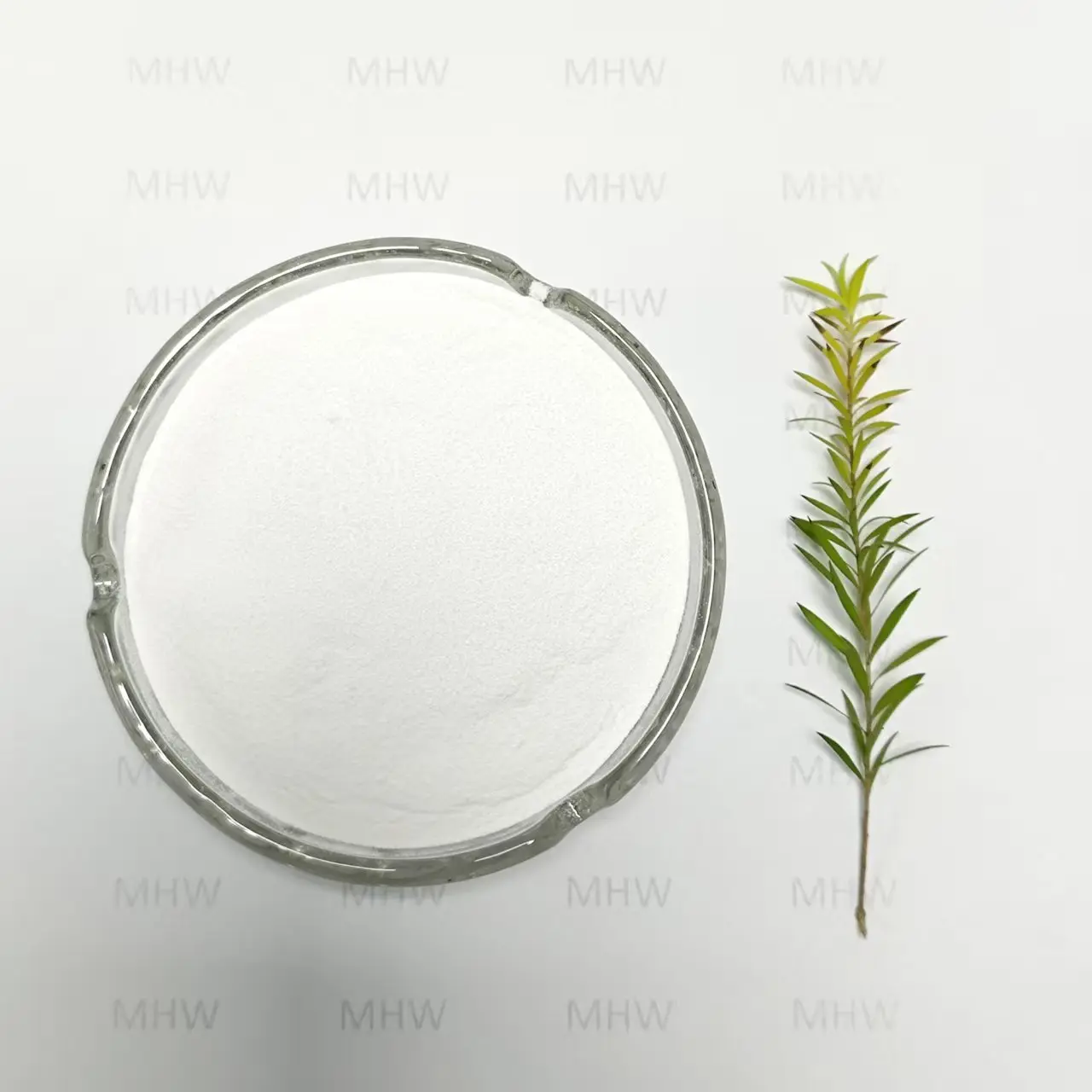 Best Non-animal Derived Eye Drop Grade Hyaluronic Acid Supplier Manufacturer, Manufacturers