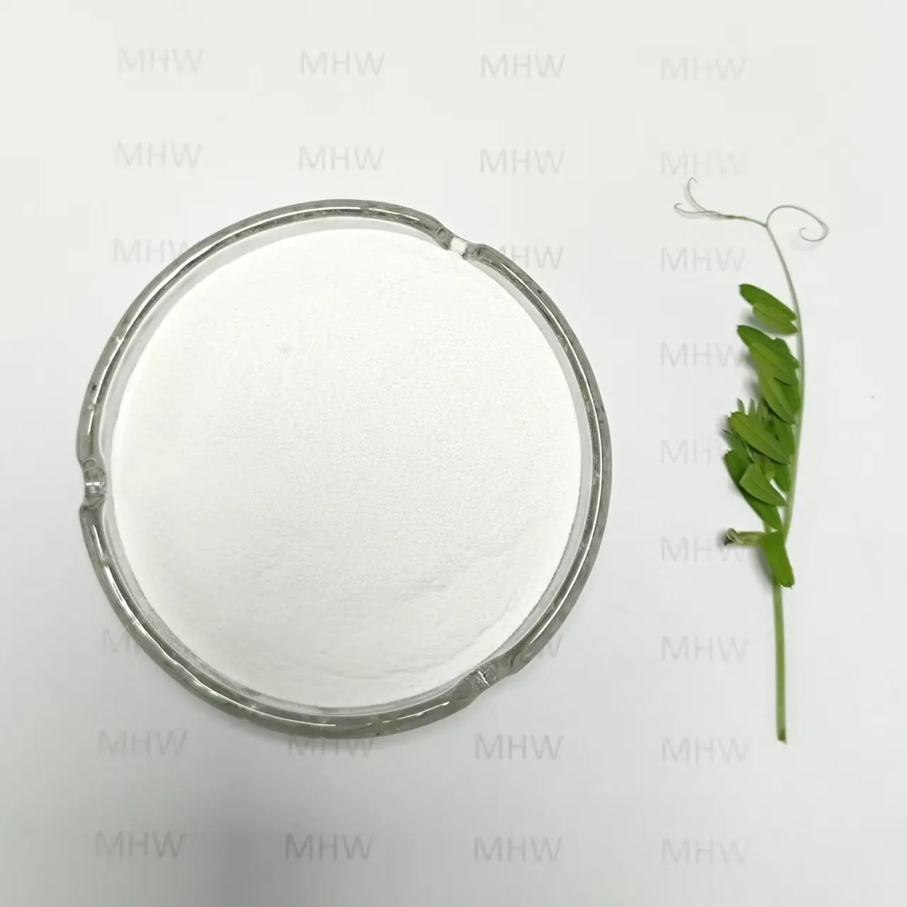 High-Quality Safety Injection Grade Sodium Hyaluronate Powder Low Endotoxin Suppliers, Factory