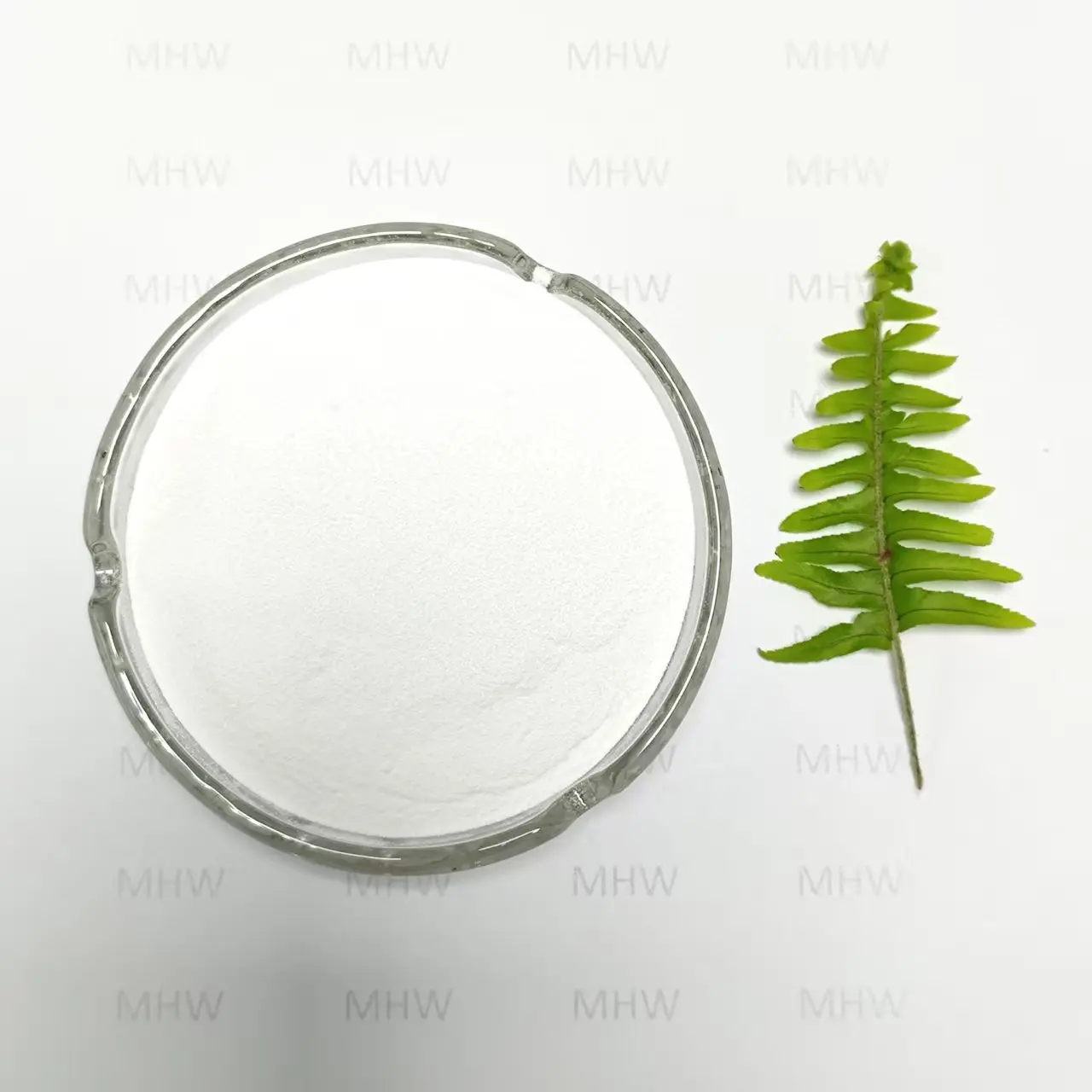 High-Quality Ophthalmic Grade Hyaluronic Acid Powder EP Standard Manufacturer, Service
