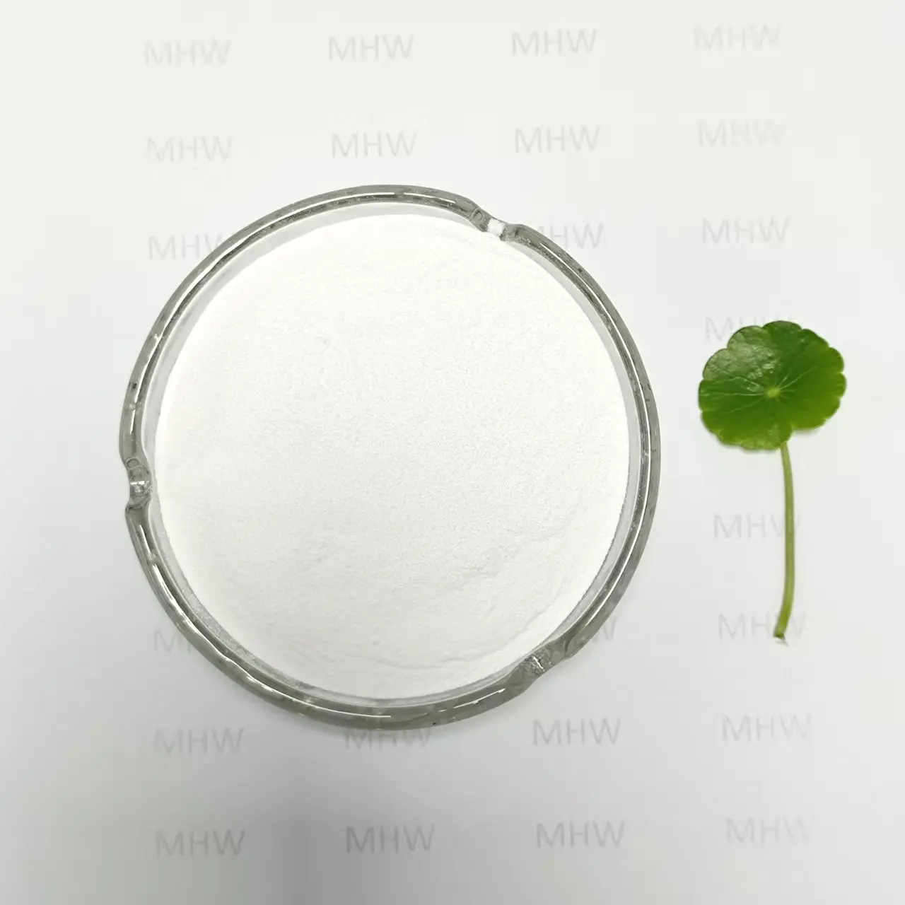 High-Quality Eye Drop Grade Hyaluronic Acid GMP Certified Manufacturer Exporters, Service