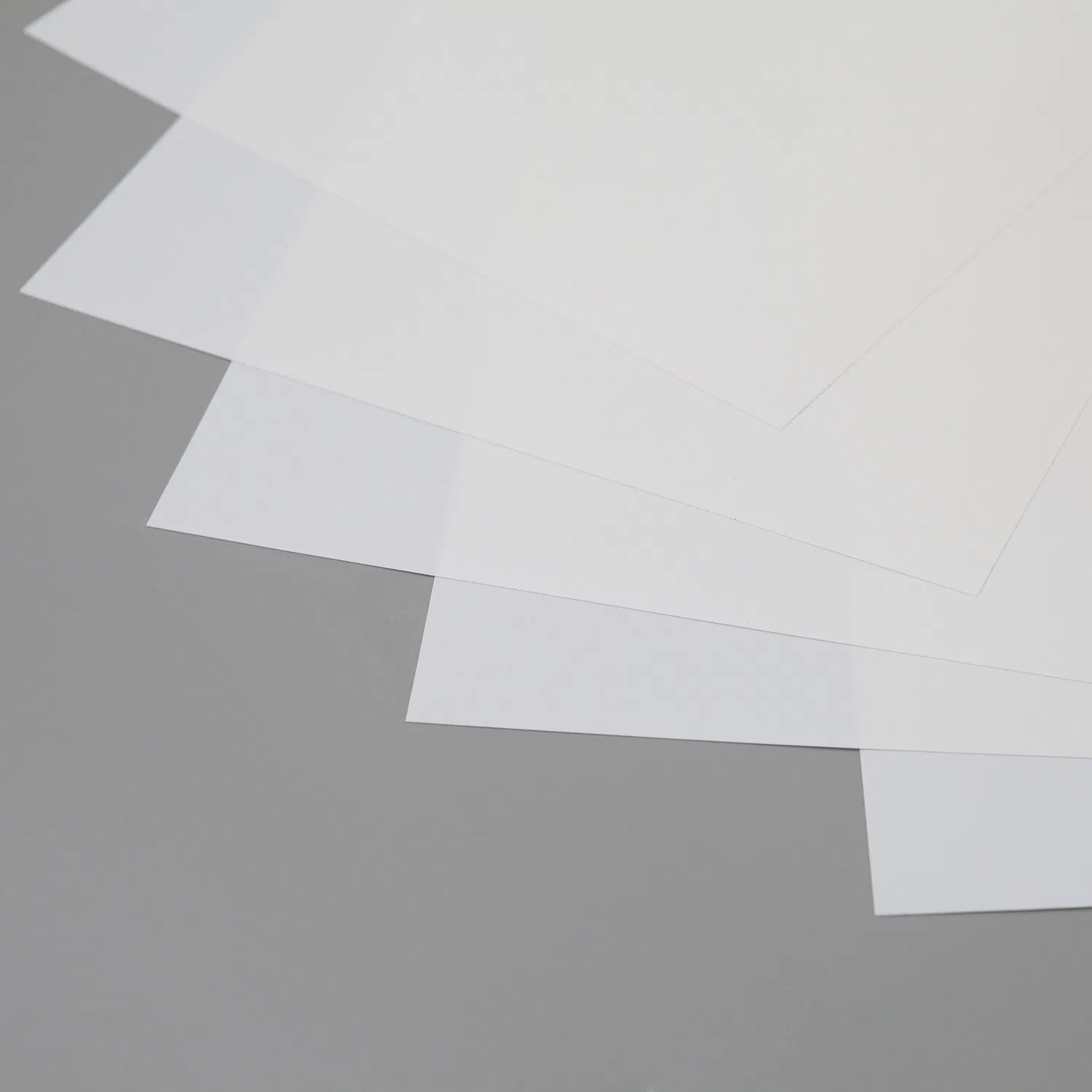 Digital Medical Imaging Reporting System for Ultrasound Endoscopy X-ray