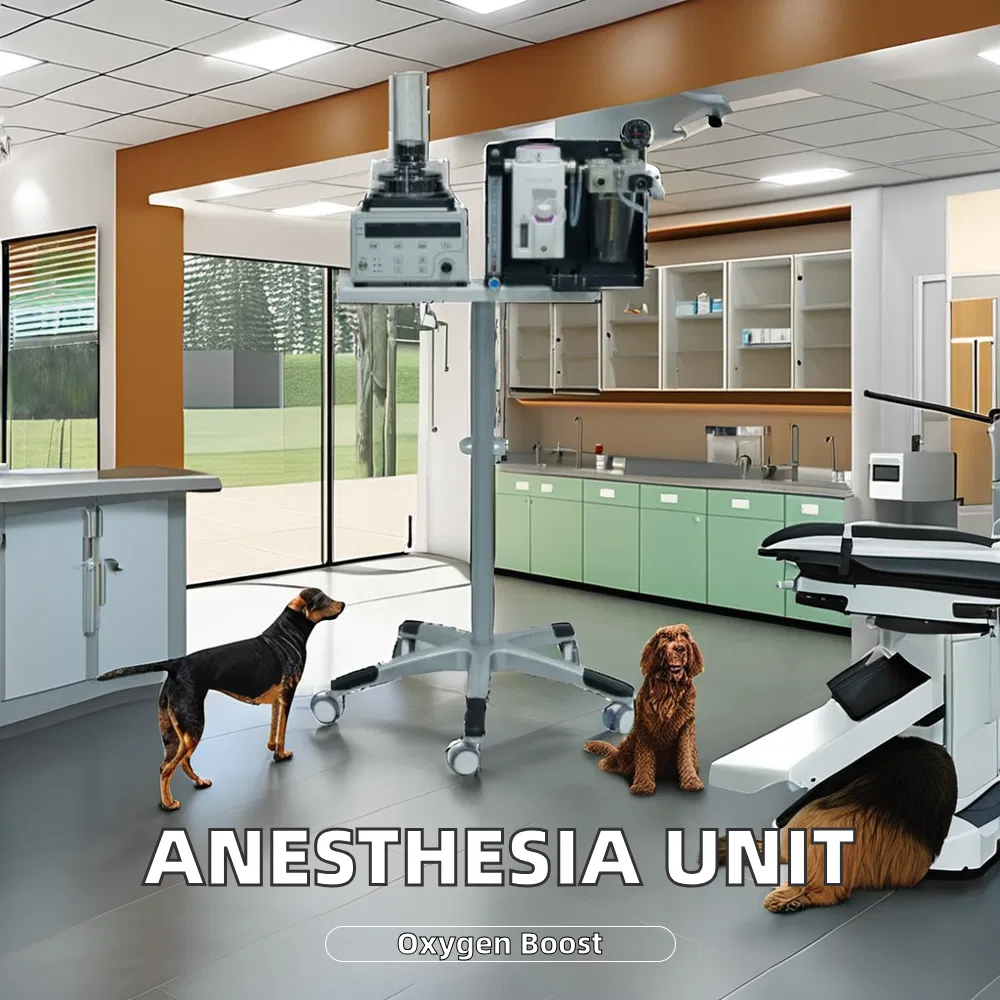 Anesthesia Machine View 1