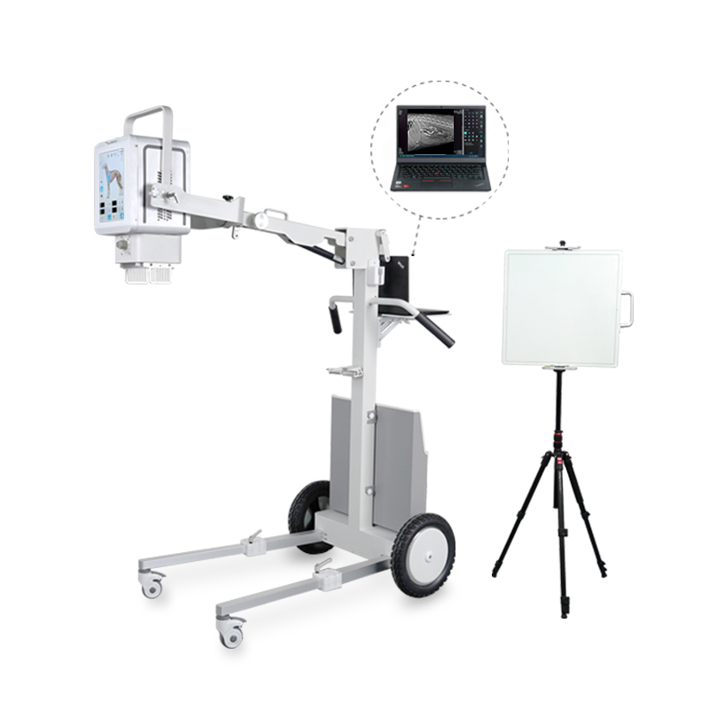 Medical Device Ysenmed Ysx100-PE Veterinary Equipment Dr Digital X Ray Unit with Flat Panel Detector
