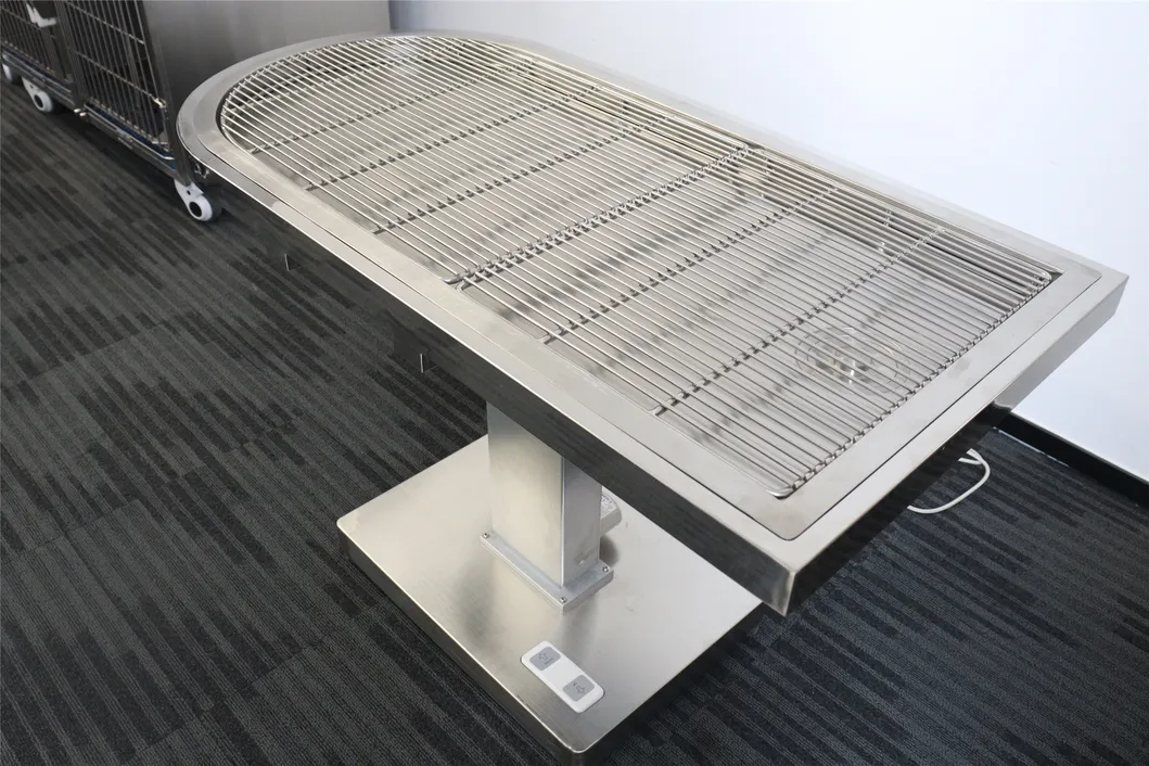 Pet Clinic Examination Table