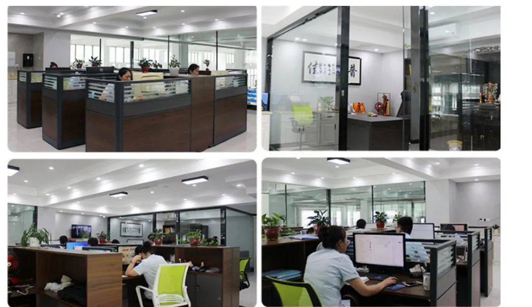 Our Professional Team