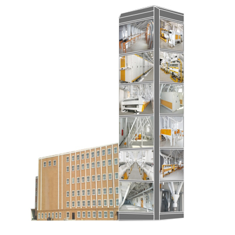 Advanced Flour Quality Testing and Analysis Equipment for Laboratories