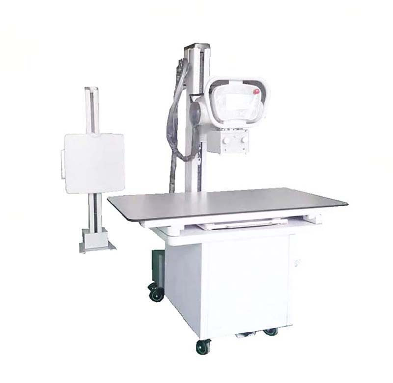 Ysl Veterinary Equipment Animal X Ray Technology Imaging System Radiography Equipment for Clinic Hospital