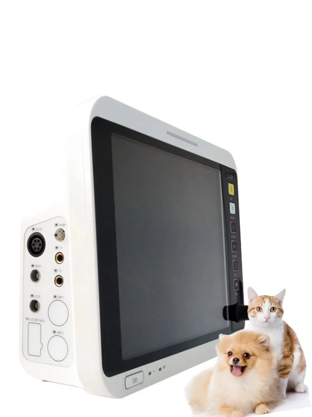 Advanced Veterinary Patient Monitor for Monitoring Multiple Animal Parameters