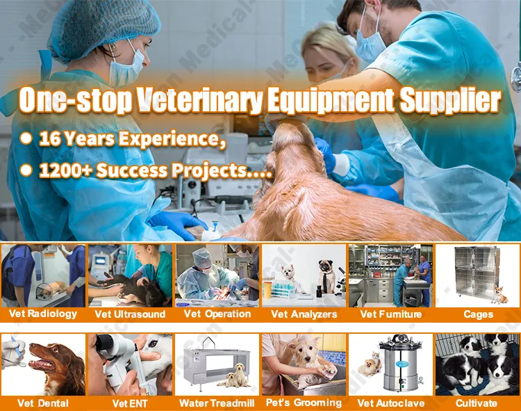 Operating Theatre Surgical LED Operation Light