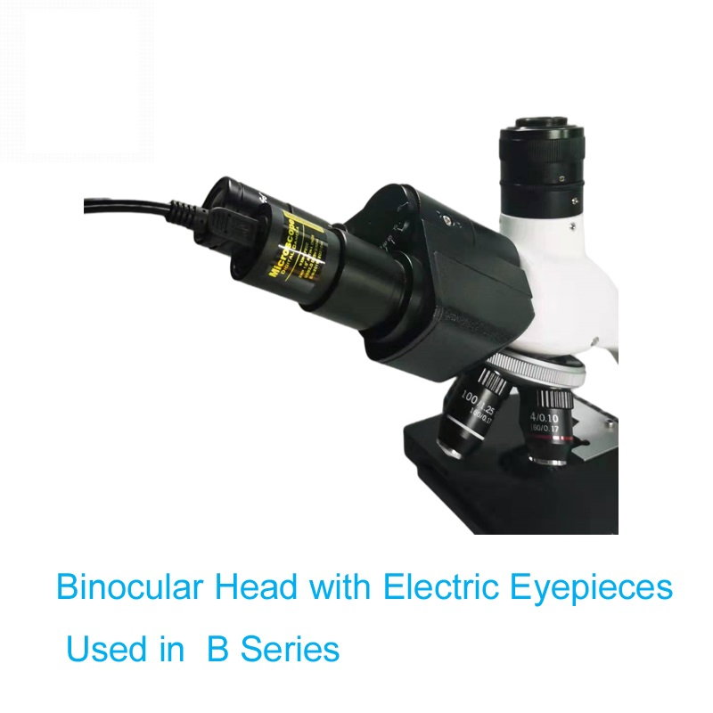 Cutting-Edge Veterinary Lab Supplies for Animal Health Facilities