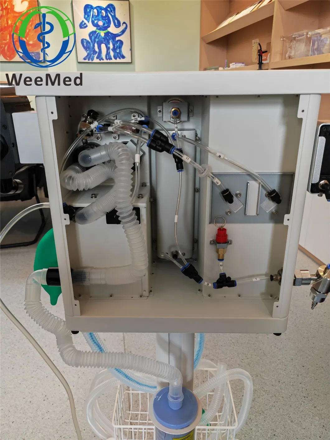 Anesthesia Equipment Detail