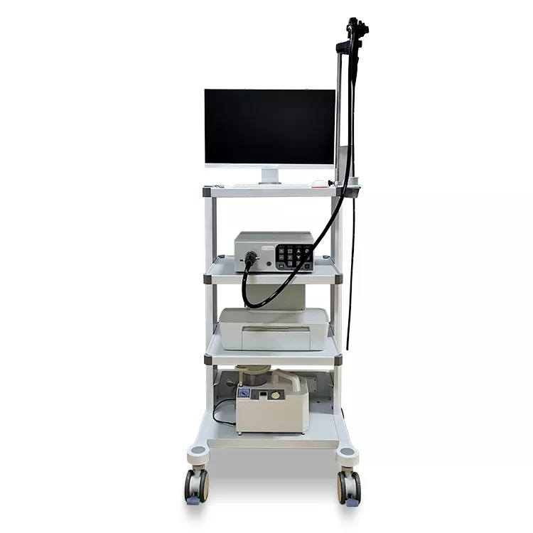 Medical Photoelectricity Endoscope Portable Versatile 1000/1500mm HD Veterinary Endoscopy System