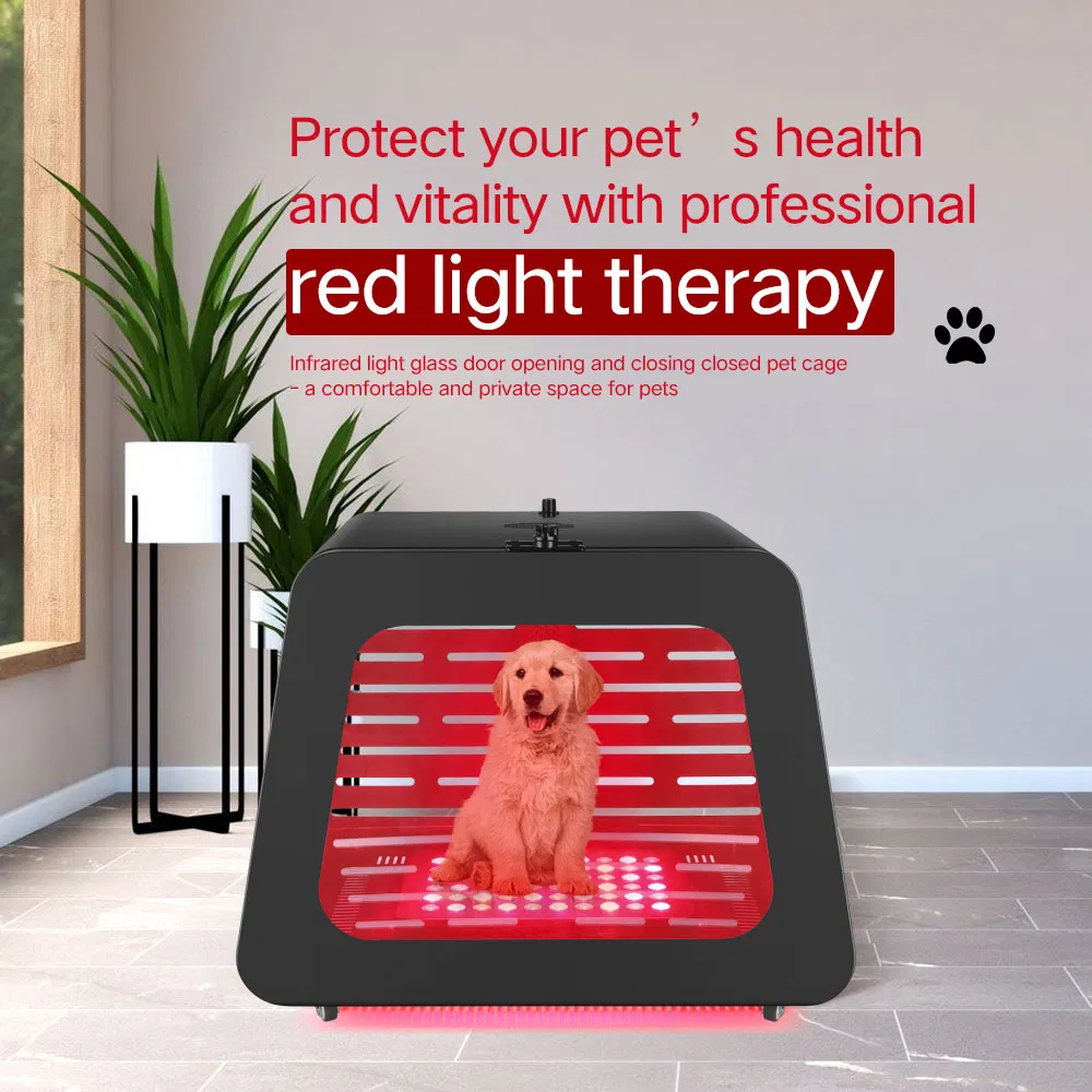 Azure PDT Infared Dog Ragdoll Cat Crate Red Light Therapy Health Device Pet Carrier Kennel Bed House Pet Cage