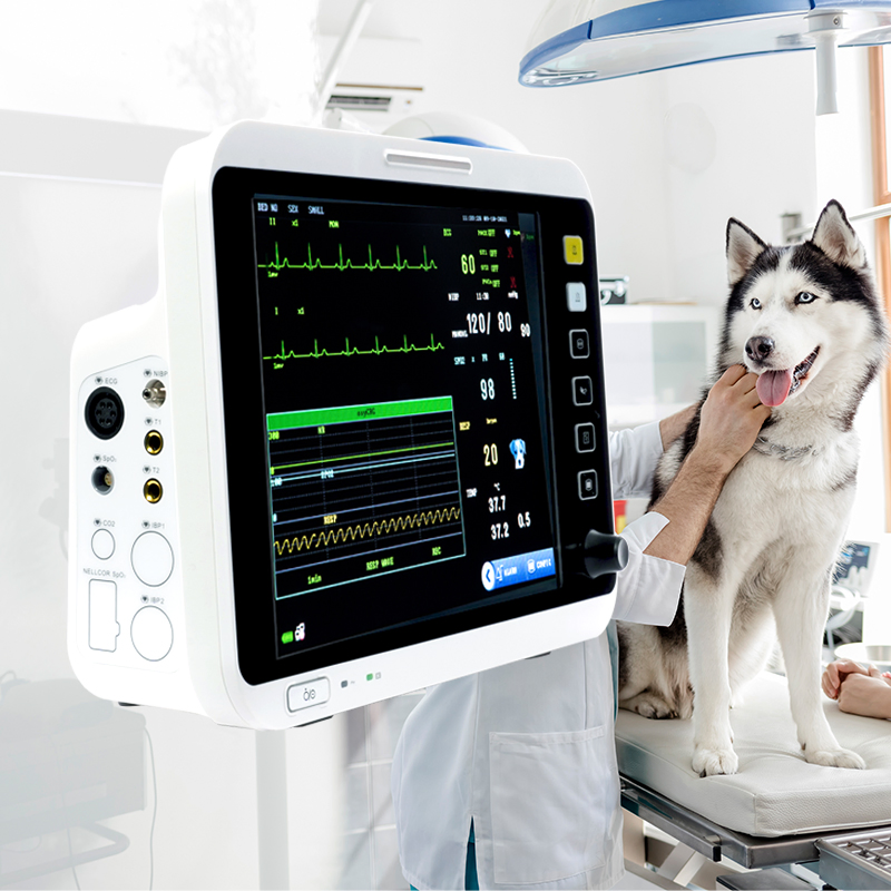 Soymed Patient Monitor Cheap Price Patient Monitor Veterinary Parameter Use for Animal Hospital