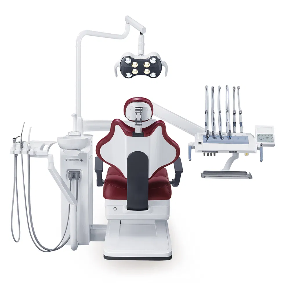 Hot Selling Gladent Veterinary Dental Equipment with Low Price