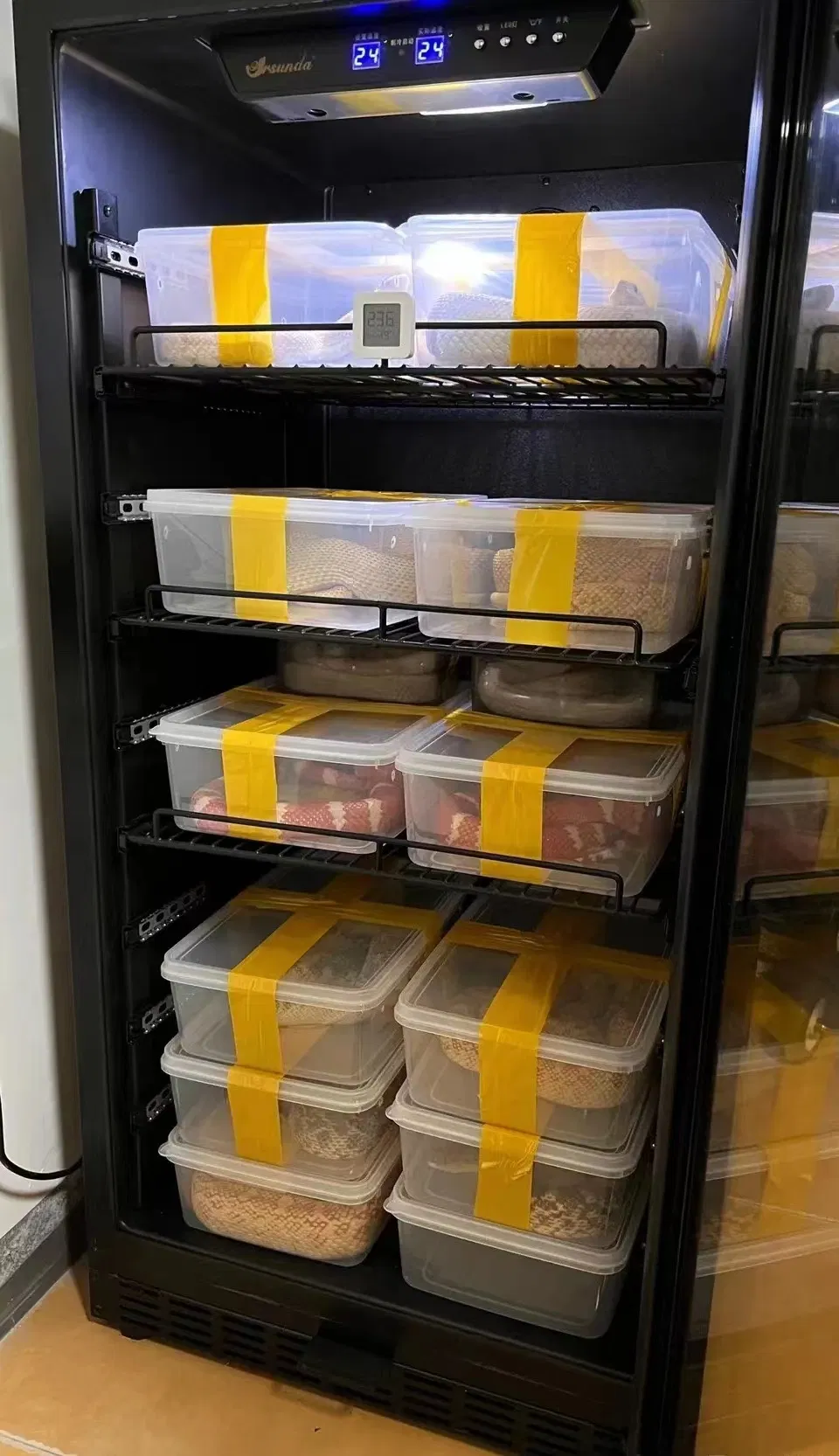 Reptile Incubator Control Panel