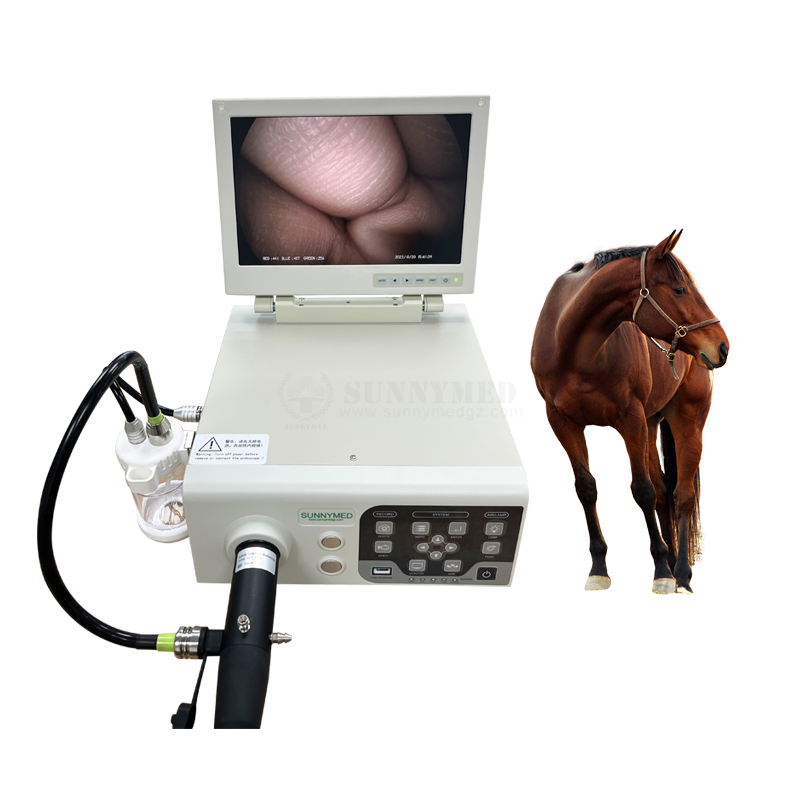 Sy-P033-1 Flexible Veterinary Gastroscope System Flexible Endoscopy for The Veterinarian
