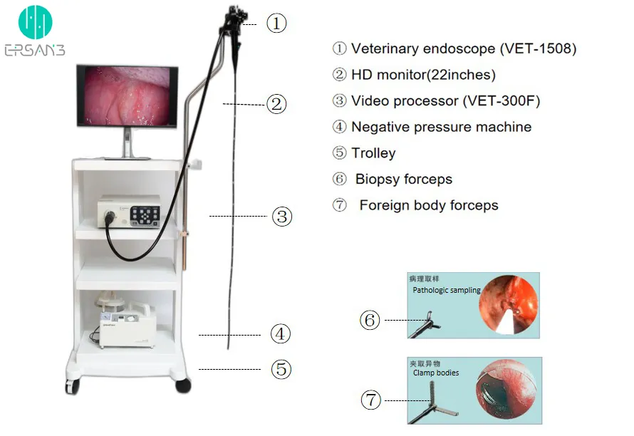 Endoscope Workstation Details 2