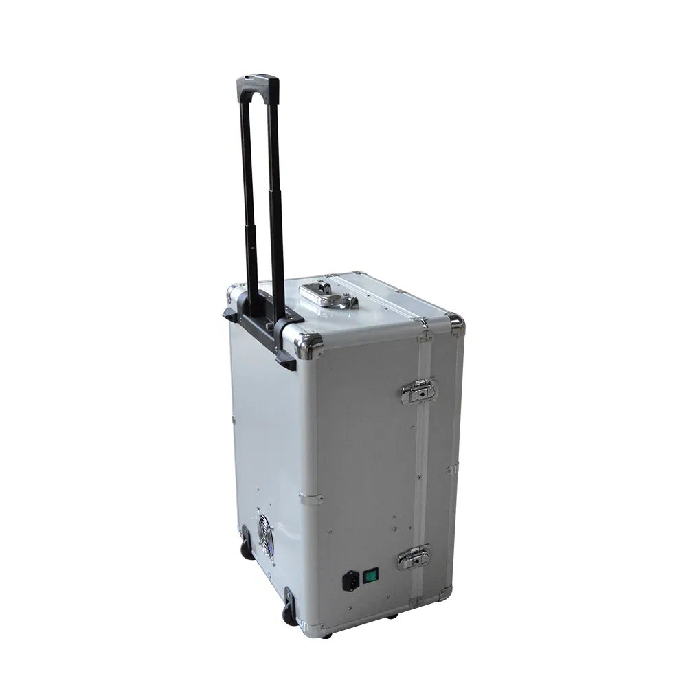 Portatiles Veterinary Dental Equipment Mobile Suitcase Spain Portable Dental Unit with Suction System