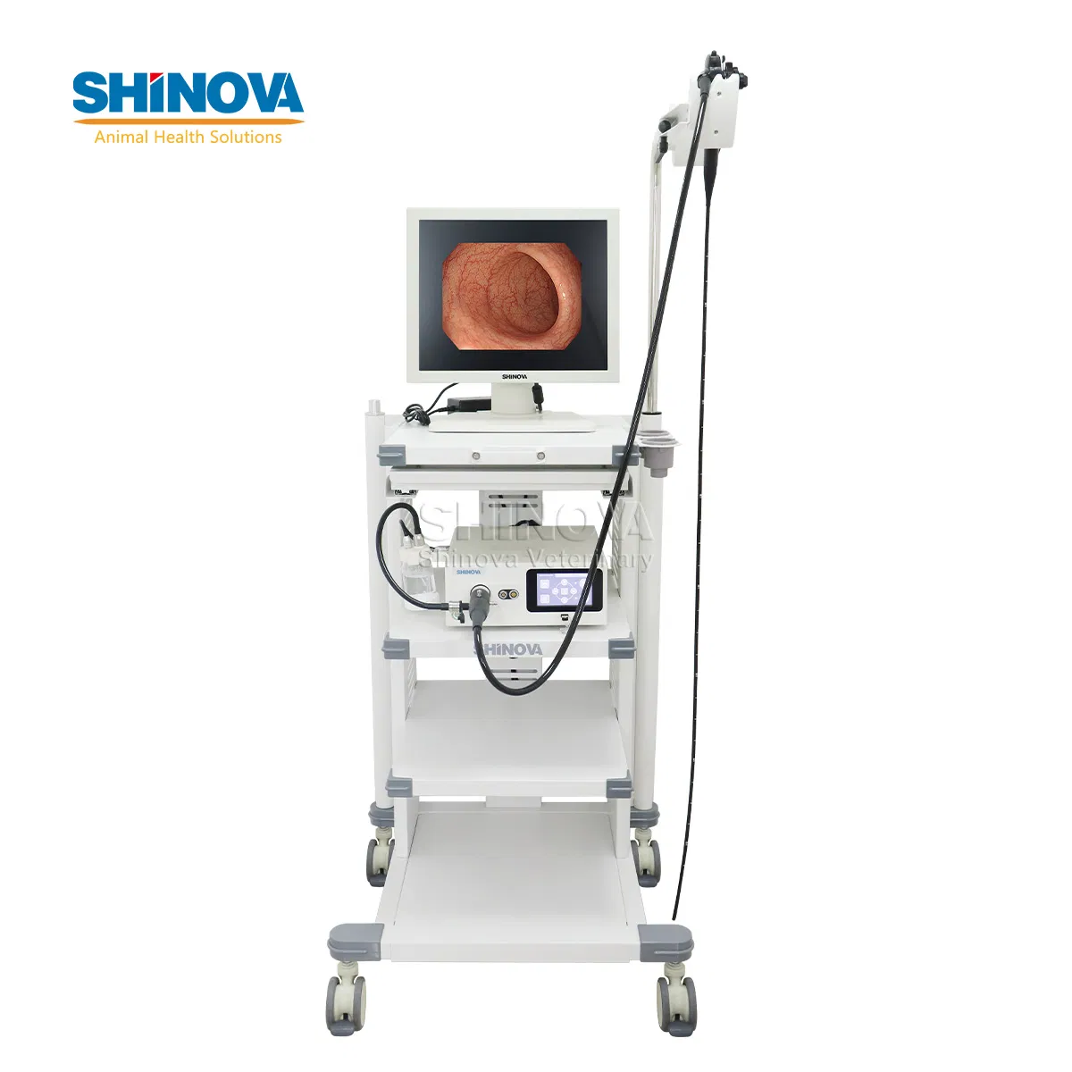 1.5-Meter Veterinary Endoscopy Tower System