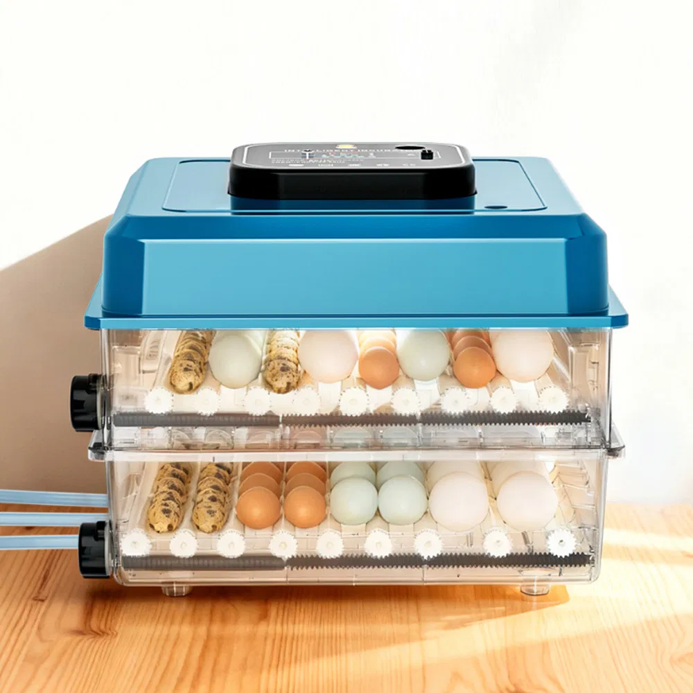 Large Capacity Clear Egg Incubator - Dual Power Fully Automatic Hatching Equipment for Reptiles, Poultry, Pigeon, Parrot and Small Pets