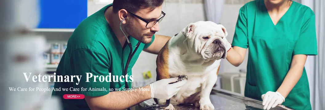 Portable Animal Clinic Anesthesia Set