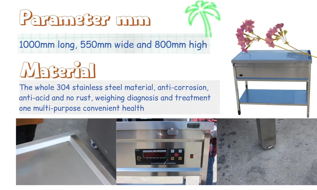 Veterinary Equipment Examination Table Stainless Steel Table with Scale