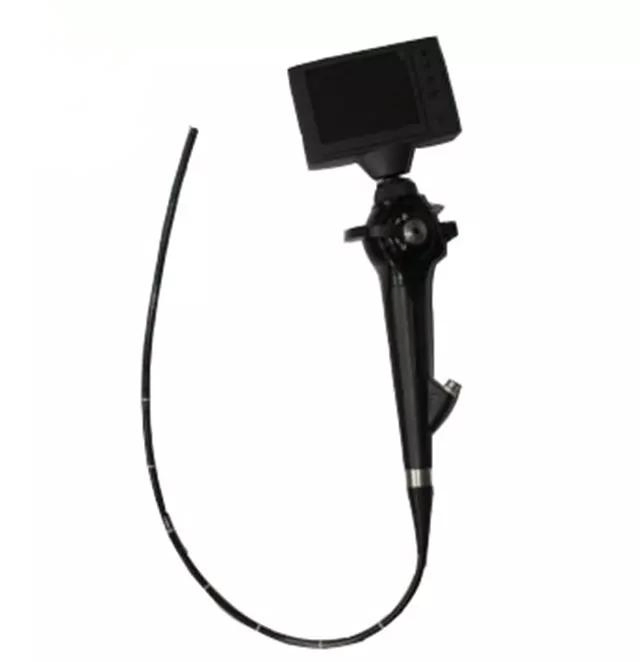 Medical Hot Selling Cc-En9BV Portable Flexible Veterinary Video Bronchoscope System