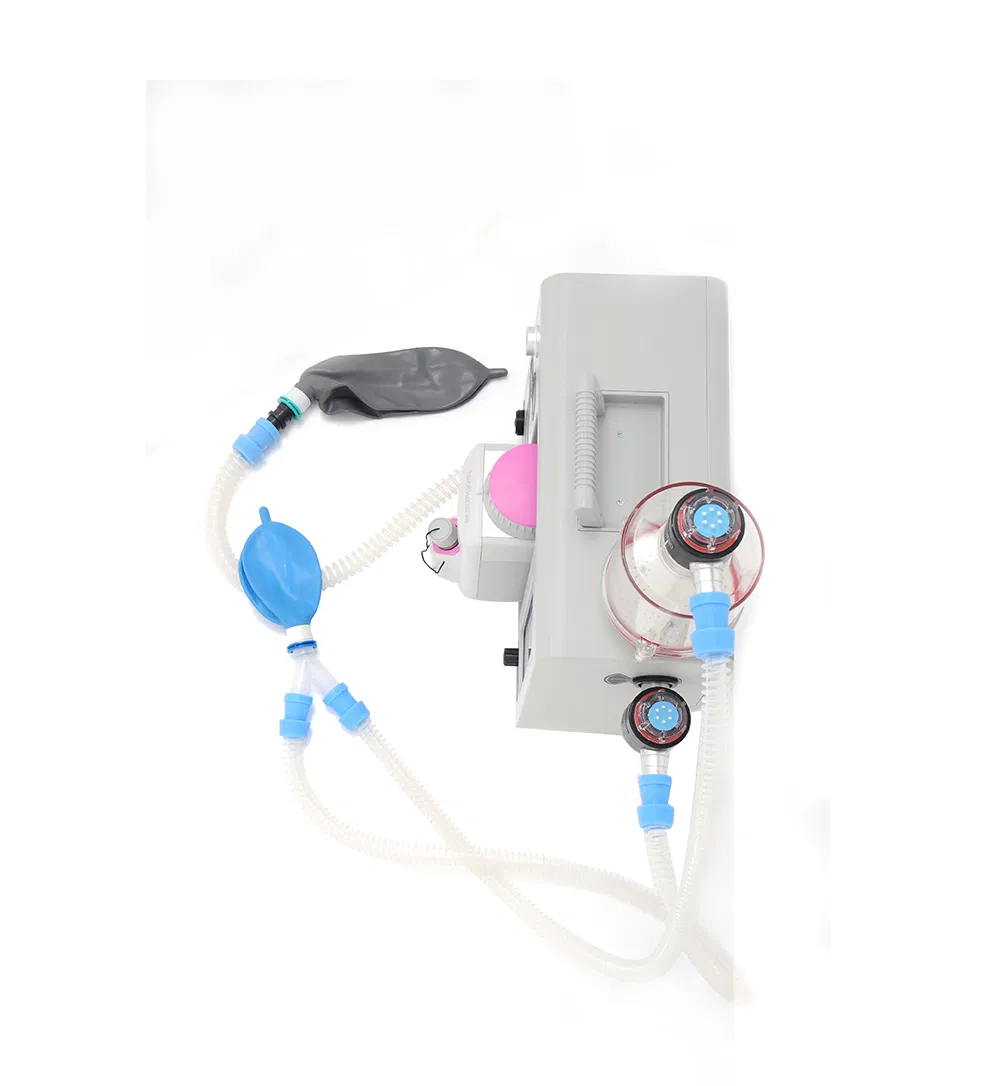 Veterinary Anesthesia Machine View 4