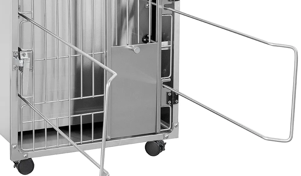 Immobilization System