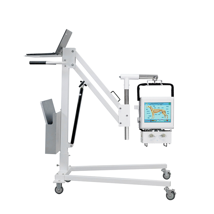 Veterinary Equipment Portable Mobile Radiography Animal 100mA X-ray