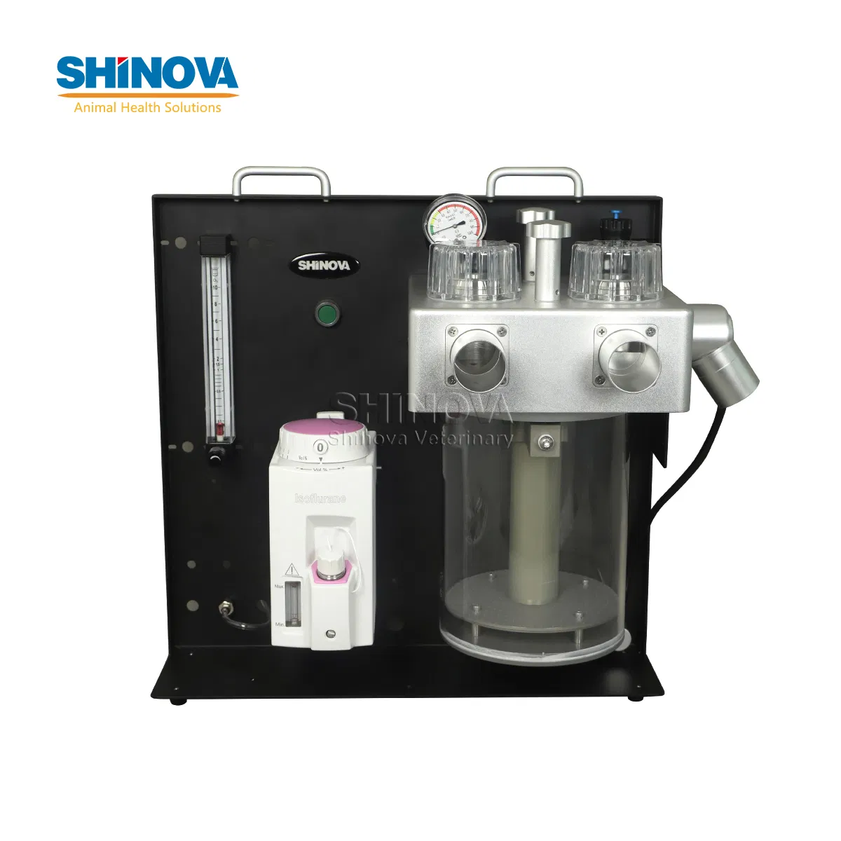 Veterinary Equipment Large Animal Anesthesia Machine (AneKing)