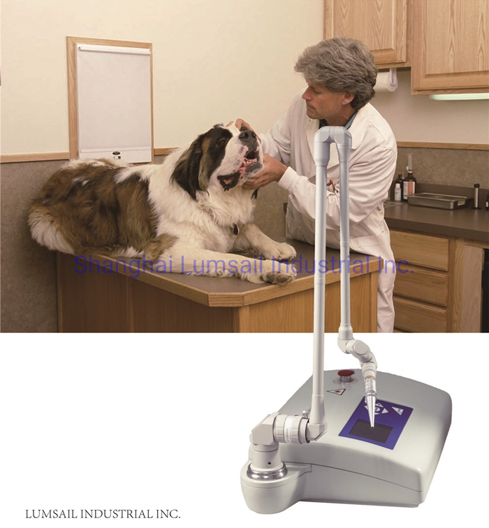 CO2 Laser Medical Instrument Veterinary Animal Surgical Laser Therapy Equipment