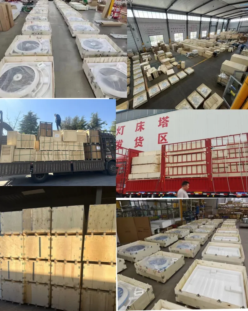 Packaging and Delivery for Veterinary Cage