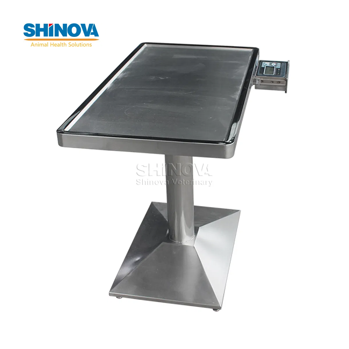Veterinary Clinic Equipment Examination Table Surgery Station Exam Table with Scale for Dog Cat